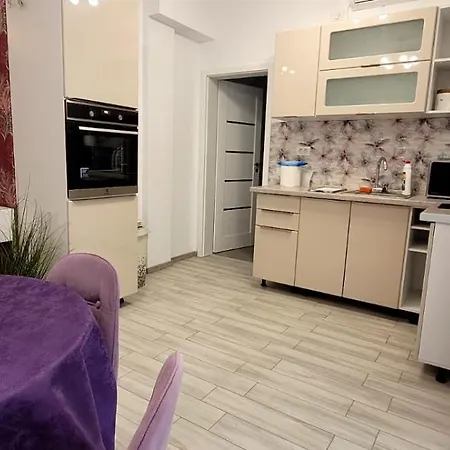 Tulip 36 * Năvodari